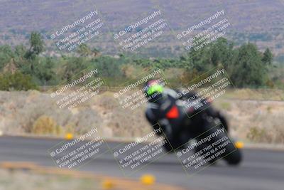 media/Oct-01-2023-SoCal Trackdays (Sun) [[4c570cc352]]/Turn 14 Backside (1120am)/